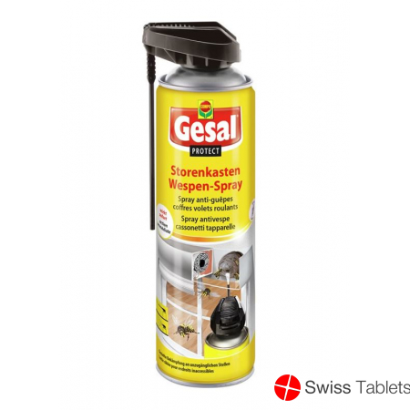 Gesal Protect Storenkasten Wespen-Spray 500ml buy online