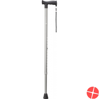 Vitility walking stick anthracite