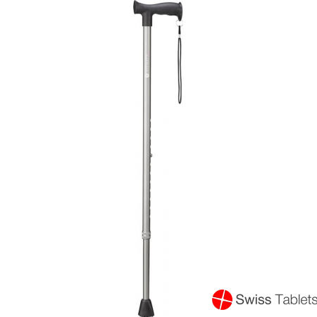 Vitility walking stick anthracite buy online