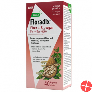 Floradix Iron + B12 Capsules Vegan 40 pieces