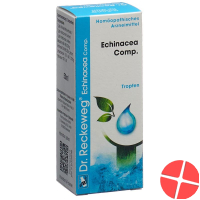 Reckeweg R193 Echinacea Comp. Tropfen Flasche 50ml