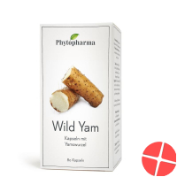 Phytopharma Wild Yam Kapseln 400mg 80 Stück