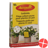 Aeroxon gel trap for potted plants 10 pieces Aeroxon gel trap for potted plants 10 pieces
