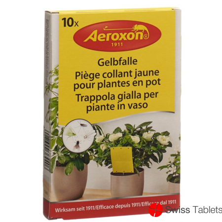 Aeroxon Gelbfalle für Topfpflanzen 10 Stück buy online