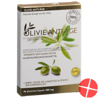 Olivie Anti-Age 500mg Gelules Vegetale 40 Stück