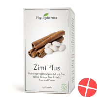 Phytopharma Zimt Plus Kapseln Dose 150 Stück Phytopharma Zimt Plus Kapseln Dose 150 Stück