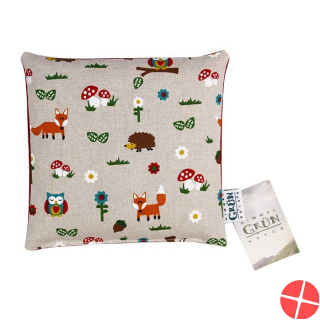 Himmelgrün Kinder Kirschkernkissen 20x20cm Waldti