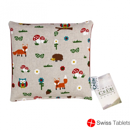 Himmelgrün Kinder Kirschkernkissen 20x20cm Waldti buy online