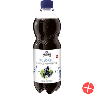 Holderhof Cassisschorle Bio Pet 5dl