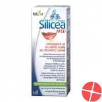 Hübner Silicea Lippenherpes-Gel Tube 2g