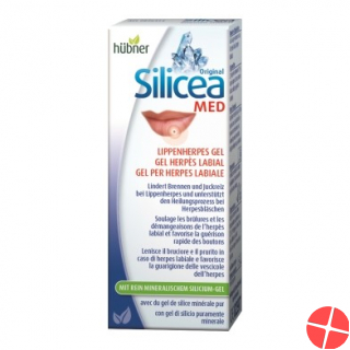 Hübner Silicea Lippenherpes-Gel Tube 2g