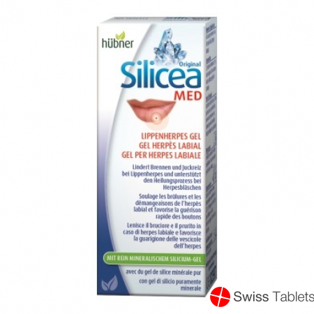 Hübner Silicea Lippenherpes-Gel Tube 2g buy online