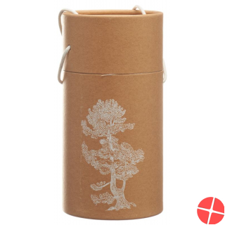 Aromalife 1 globe pine cembra scent including essential oil