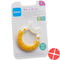 Mam Bite & Brush 3+m
