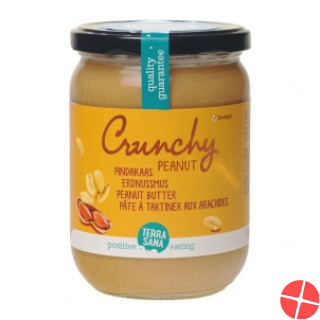 Terrasana Erdnussmus Crunchy Bio 500g