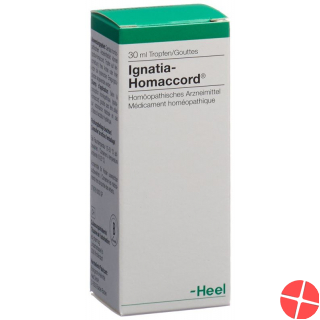 Homaccord Ignatia Tropfen 30ml
