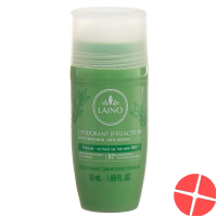 Laino Deo Kaolin The Vert (neu) Roll-On 50ml