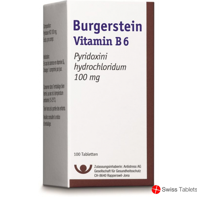 Burgerstein Vitamin B6 tablets 100 mg Ds 100 pieces buy online