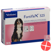 Fortiflex Tabletten 525mg Blister 30 Stück