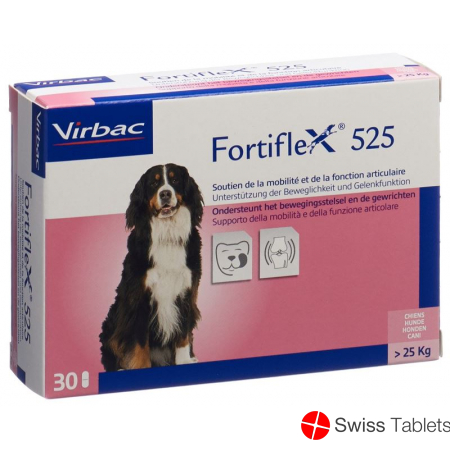 Fortiflex Tabletten 525mg Blister 30 Stück buy online