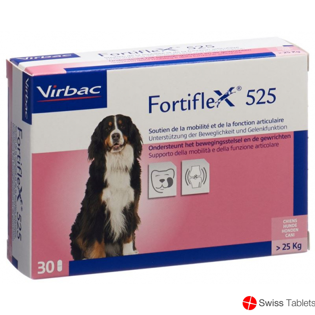Fortiflex Tabletten 525mg Blister 30 Stück buy online