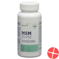 Sanasis Msm Glucosamin & Chondroitin Kapseln 60 Stück