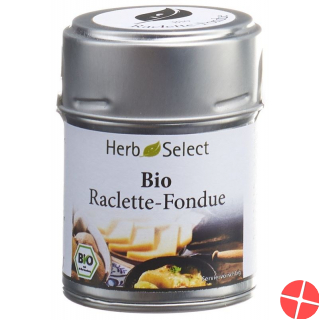 Herbselect Raclette-Fondue Gewürz Bio 40g