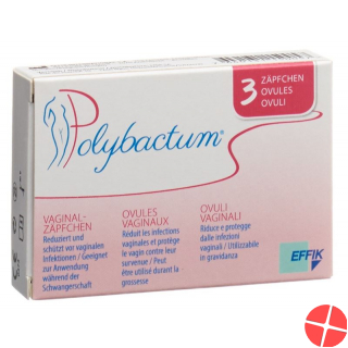 Polybactum Ovula 3 Stück