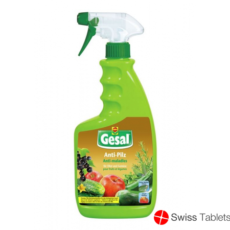 Gesal Anti-Pilz für Obst und Gemüse Spray 750ml buy online