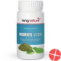 Kingnature Morus Vida Kapseln Dose 72 Stück