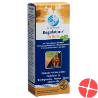 Regulatpro Arthro Flasche 350ml