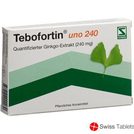 Tebofortin Uno 240 Filmtabletten 240mg 20 Stück buy online