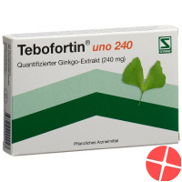 Tebofortin Uno 240 Filmtabletten 240mg 40 Stück
