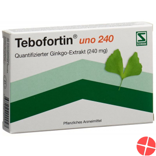 Tebofortin Uno 240 Filmtabletten 240mg 40 Stück