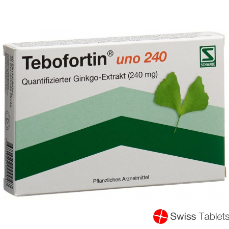 Tebofortin Uno 240 Filmtabletten 240mg 40 Stück buy online
