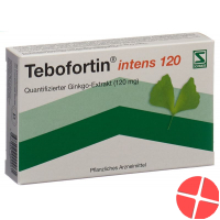 Tebofortin Intens 120 Filmtabletten 120mg 30 Stück