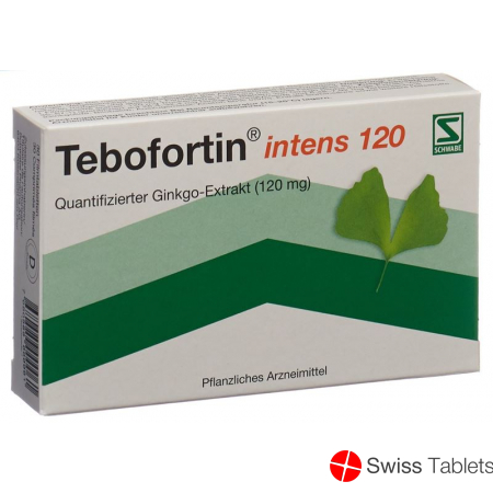 Tebofortin Intens 120 Filmtabletten 120mg 30 Stück buy online