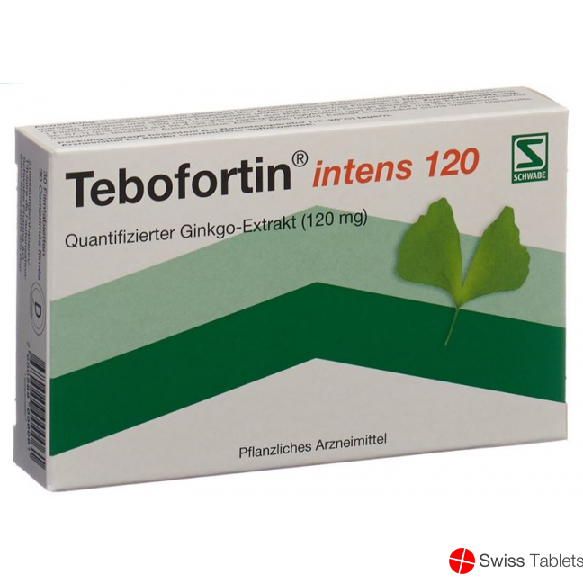 Tebofortin Intens 120 Filmtabletten 120mg 30 Stück buy online