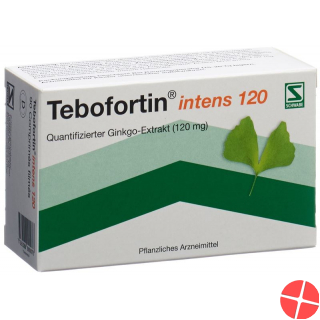 Tebofortin Intens 120 Filmtabletten 120mg 90 Stück