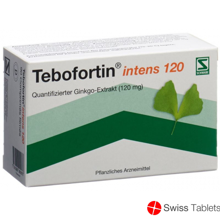 Tebofortin Intens 120 Filmtabletten 120mg 90 Stück buy online