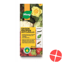 Perfetto Hg Insektizid Konzentrat 40ml Perfetto Hg Insektizid Konzentrat 40ml