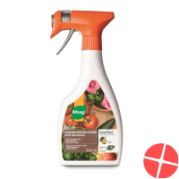 Maag Sanoplant Pilz-Stopp Spray Bio 500ml