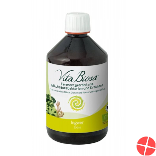 Vita Biosa Probiotic Ingwer Flasche 500ml