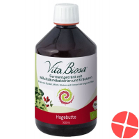 Vita Biosa Probiotic Hagebutte Flasche 500ml