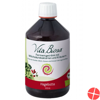 Vita Biosa Probiotic Hagebutte Flasche 500ml