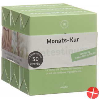 Viterba Kurpackung Intestinum Shot 3x 10 Stück