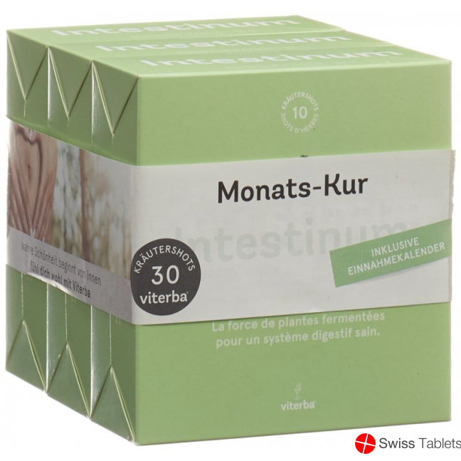 Viterba Kurpackung Intestinum Shot 3x 10 Stück buy online