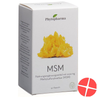 Phytopharma MSM Kapseln 1000mg Dose 90 Stück