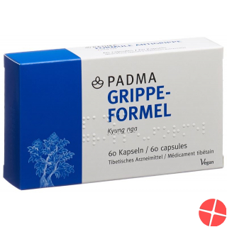 Padma Grippe-Formel Kapseln 60 Stück
