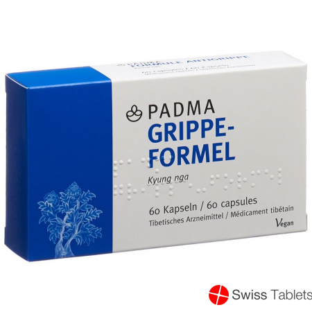 Padma Grippe-Formel Kapseln 60 Stück buy online